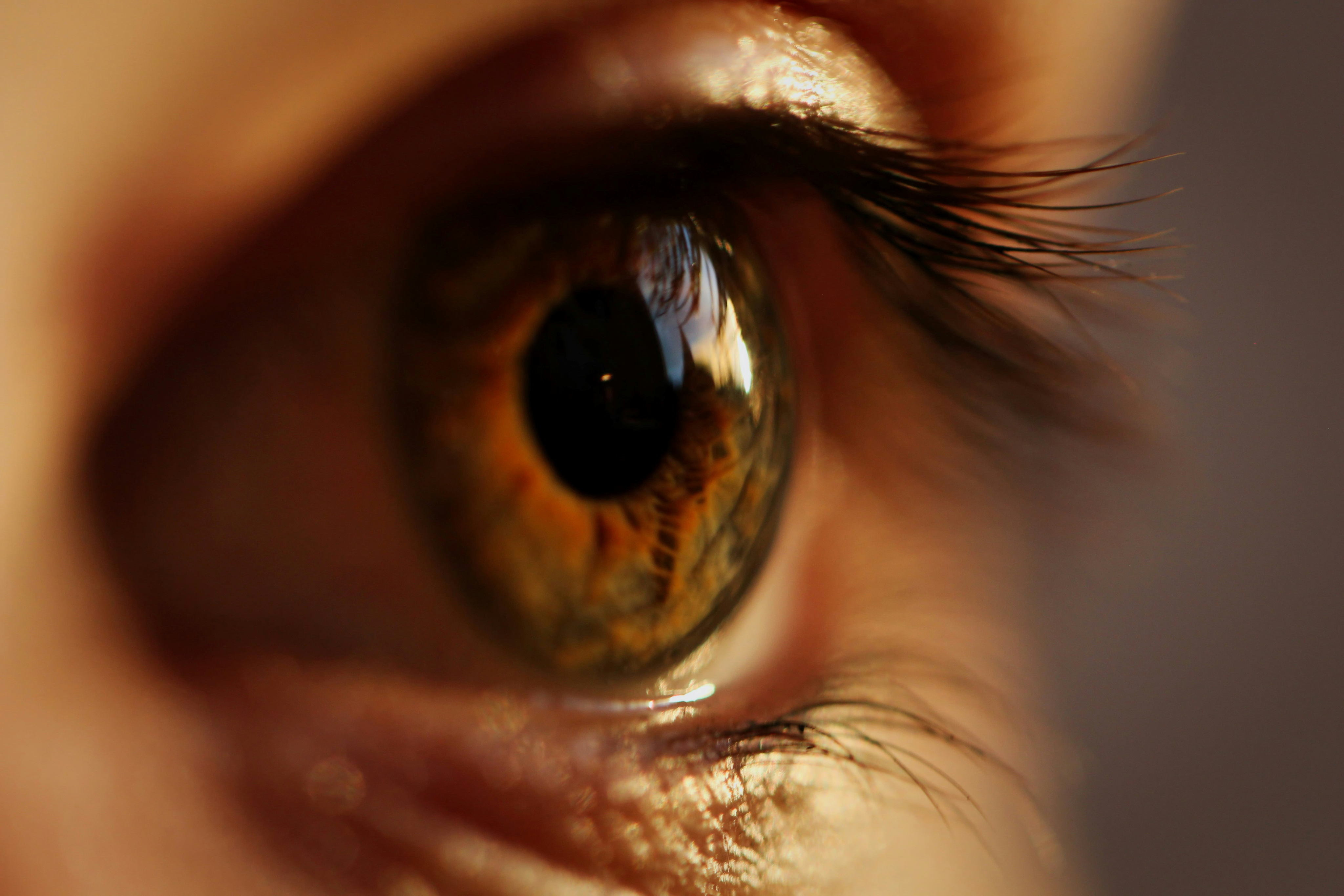 oeil