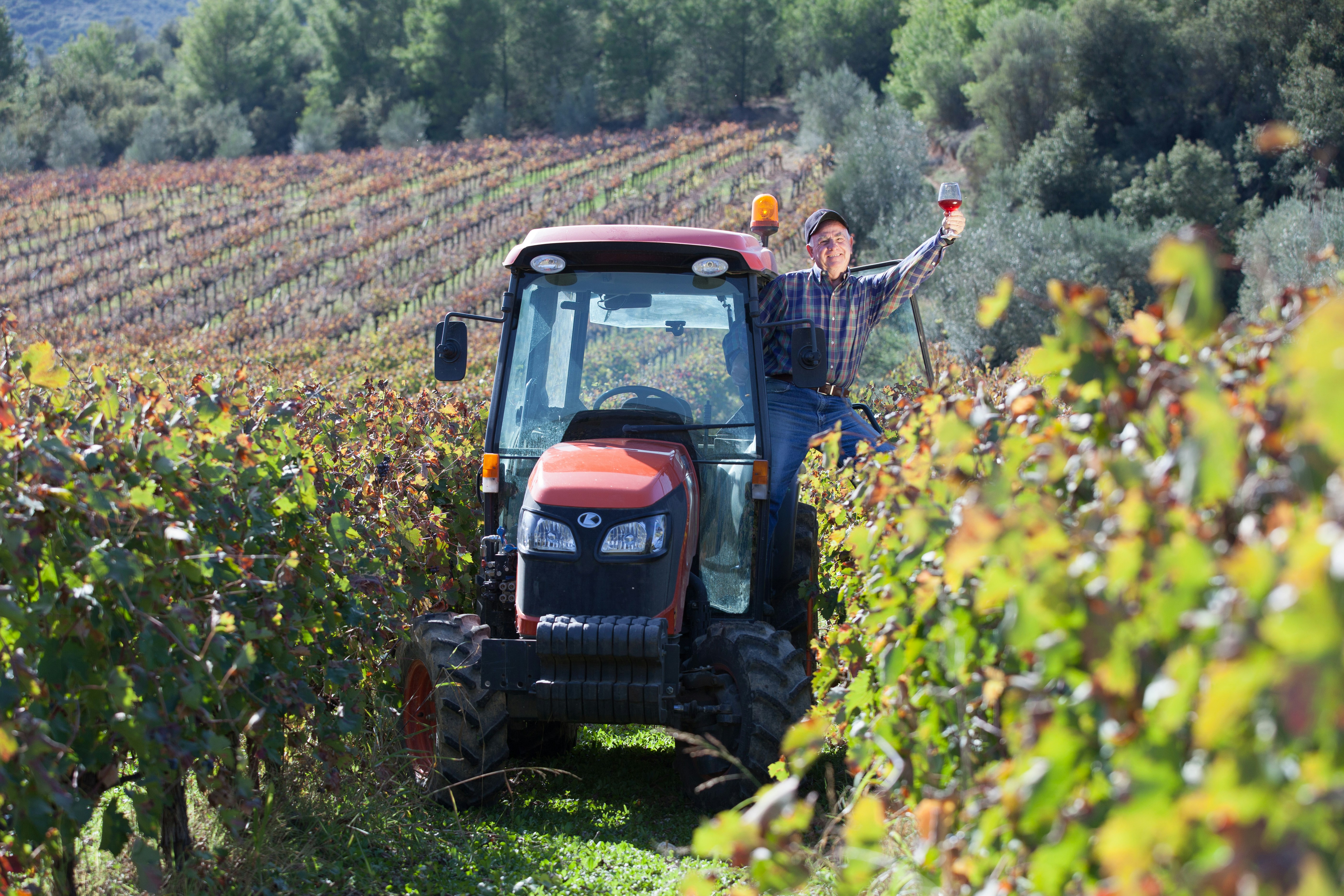 tracteur vignes