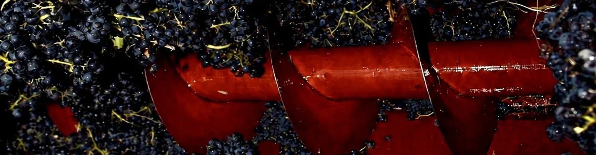Domaine Matteri - L'exigence du vivant