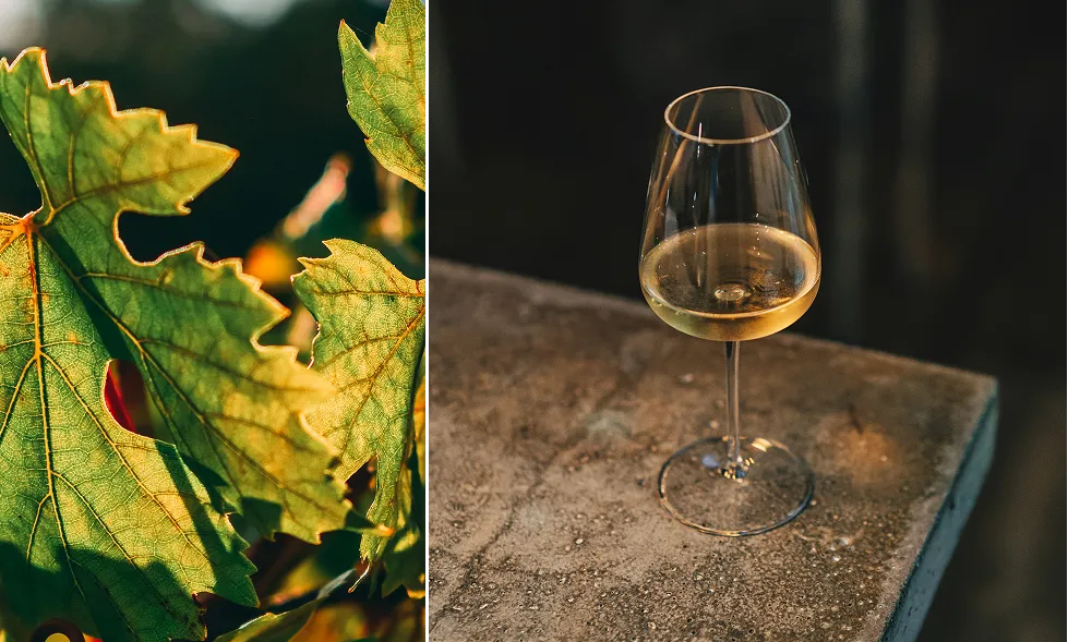 feuille verre