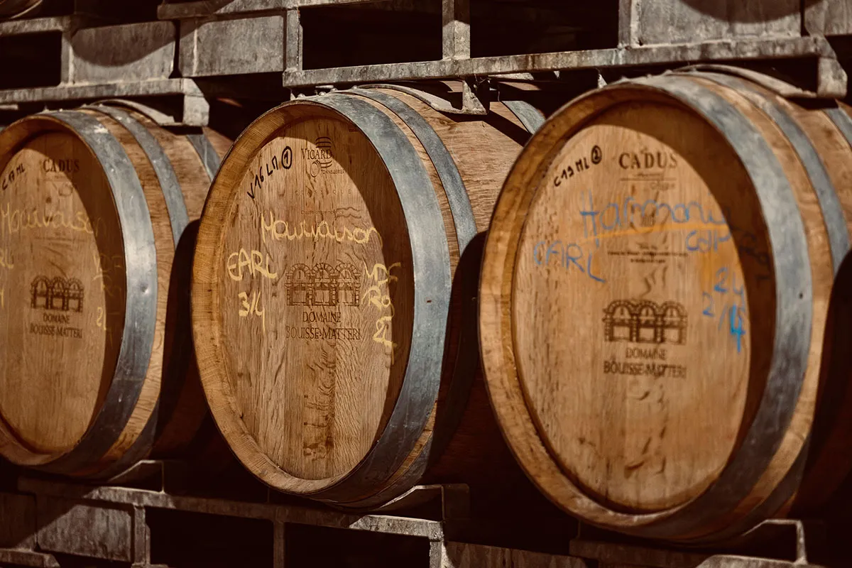 Domaine Matteri - De la vigne au vin, la cave