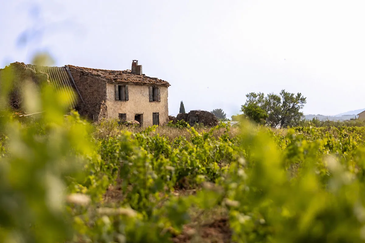 Domaine Matteri - La Gérade