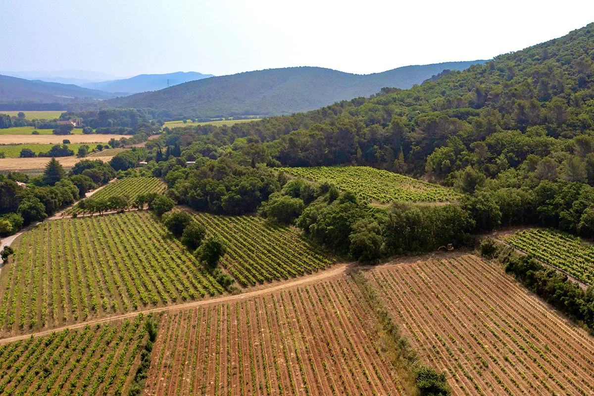 Domaine Matteri - Toulouzan